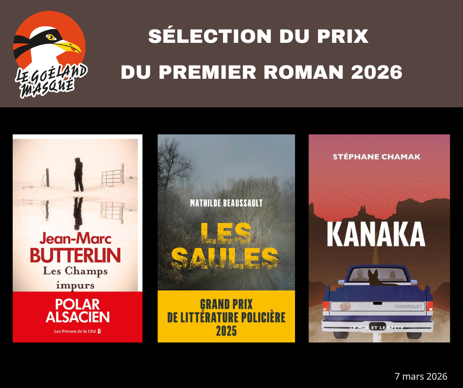 Prix du 1er roman 2026 : les finalistes sont connus